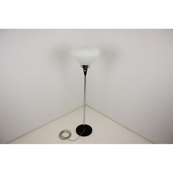 Image 1 of Lampadaire vintage en bois et verre par Lidokov, Tchécoslovaquie 1970