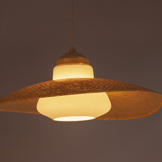 Image 1 of Lampe suspendue vintage en fibre de verre et bakélite par Louis Kalff pour Philips, 1950