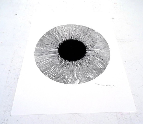 Image 1 of Tehos - Oeil noir 2024 - 05