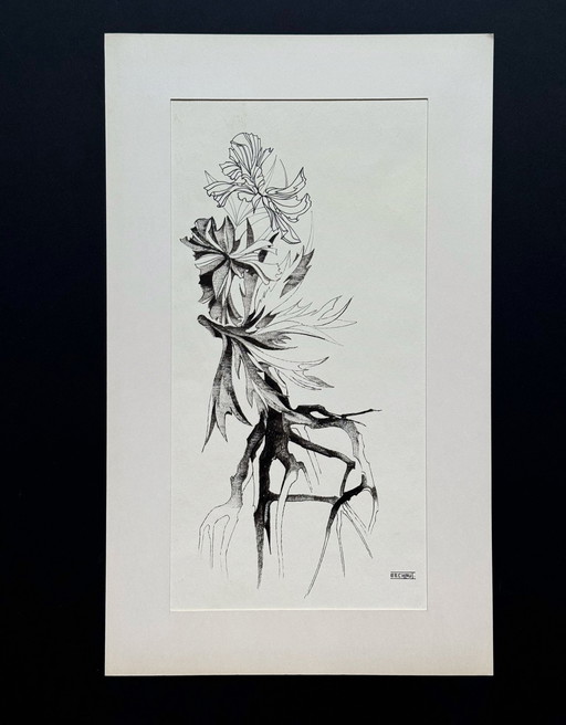 Eugene Eechaut (1928-2019) Composition florale à l'encre, 1970