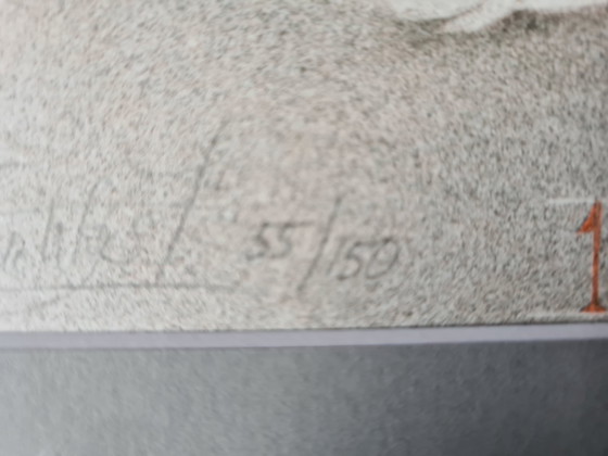 Image 1 of Poen de Wijs, La Modella, 55/150