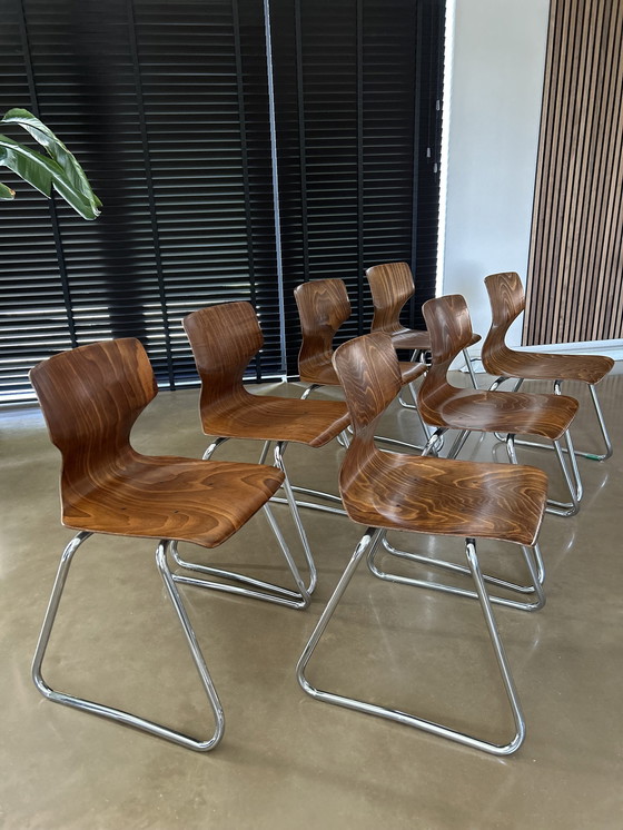 Image 1 of 7x Adam Stegner Pagholz Flötotto Chairs Bois flammé