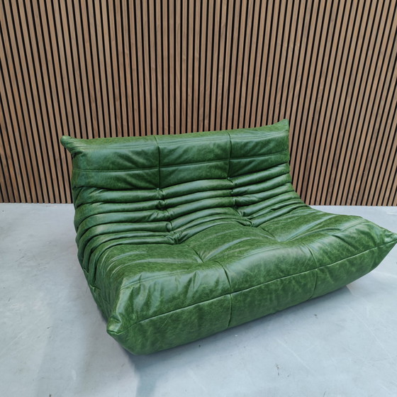 Image 1 of Ligne Roset Deux places en cuir vert Togo