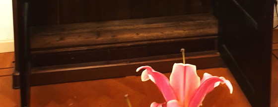 Image 1 of Armoire en acajou (vaisselle)