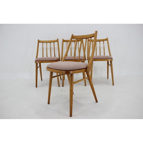 Image 1 of Ensemble de 4 chaises en hêtre vintage d'Antonin Suman, 1970