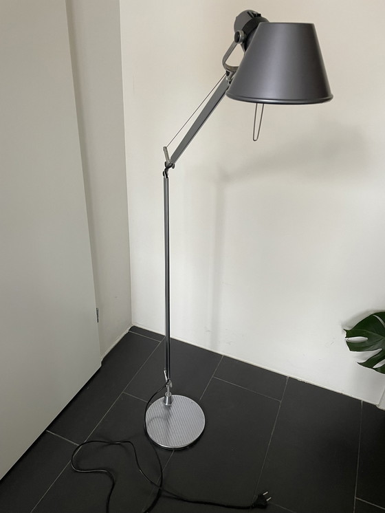 Image 1 of Artemide Tolomeo