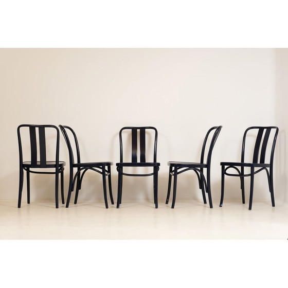 Image 1 of Ensemble de 5 chaises bleues ZPM Radomsko 1960