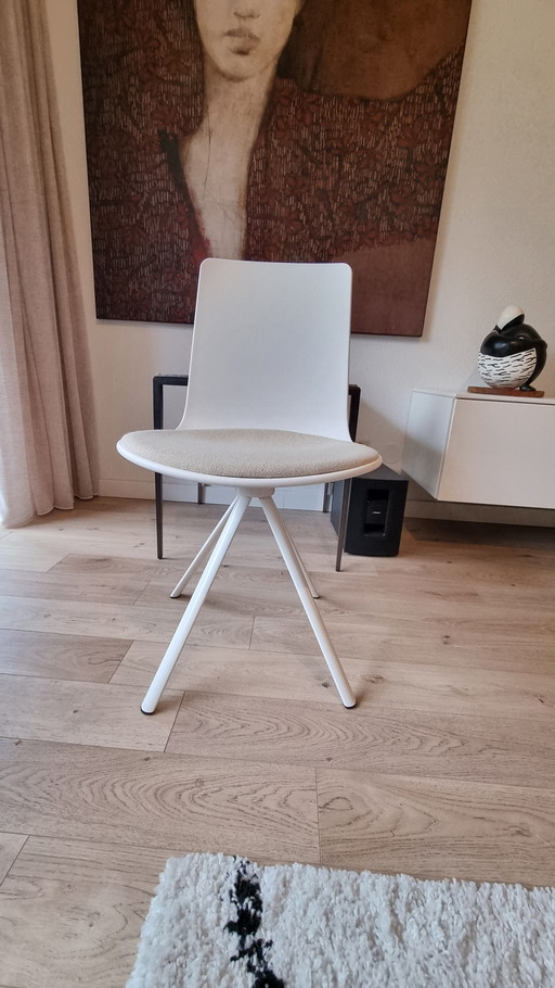 Chaise de salle à manger/tabouret/chaise de bureau Lottus Enea Design