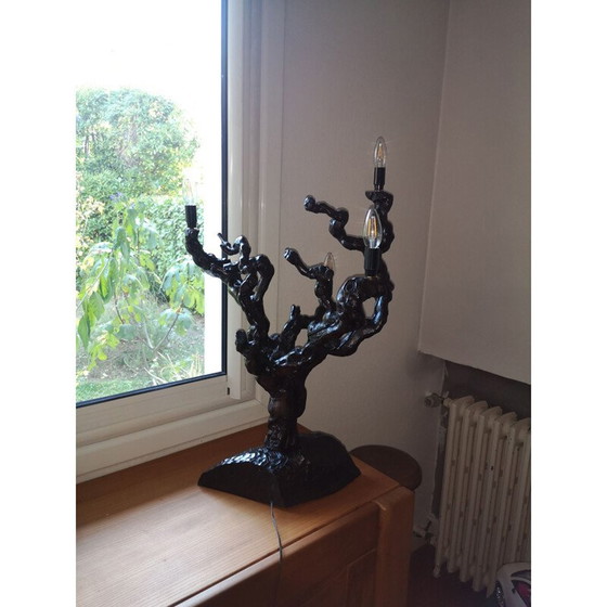 Image 1 of Lampe de table vintage en vigne, 1970