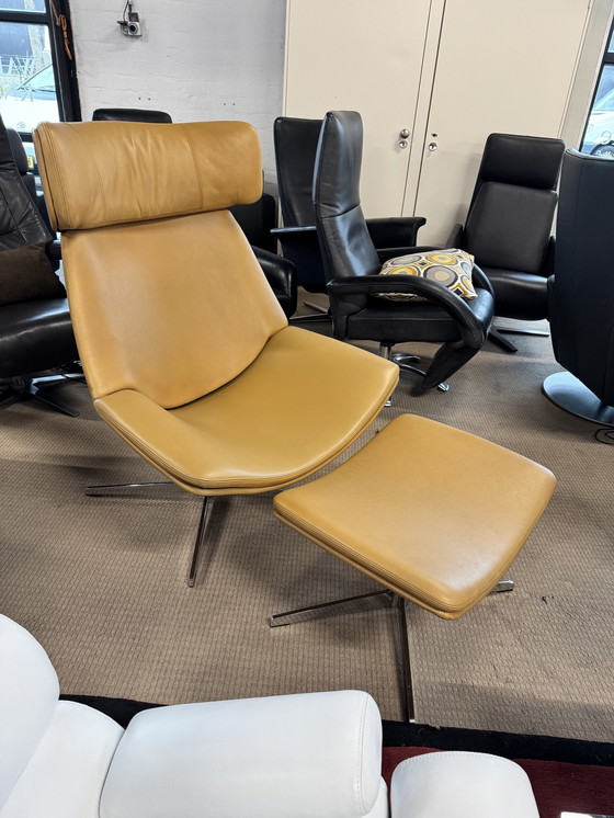 Image 1 of Walter Knoll Eoos