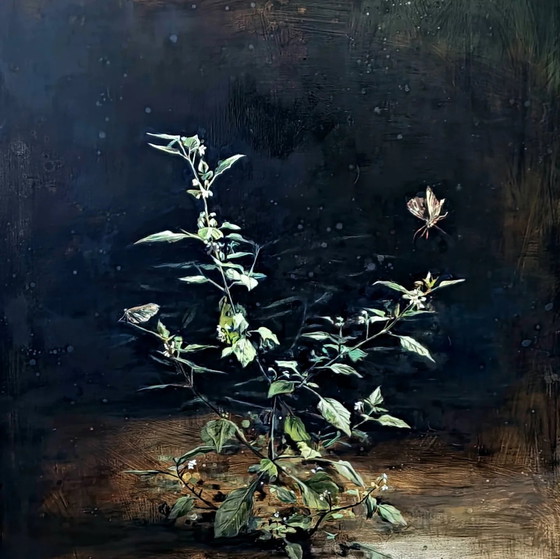 Image 1 of Peinture à l'huile Nightshade With Night Butterflies Par Nanouk Weijnen