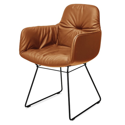 Freifrau Leya Chaises de salle à manger en cuir cognac avec base noire