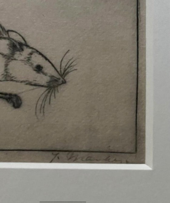 Image 1 of Jan Mankes 1889-1920 / Souris héliogravure originale 1923 (superbement encadrée)
