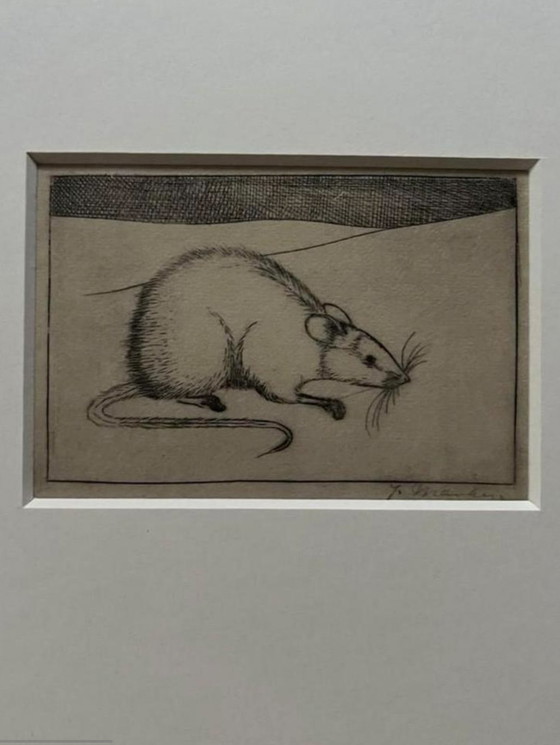 Image 1 of Jan Mankes 1889-1920 / Souris héliogravure originale 1923 (superbement encadrée)