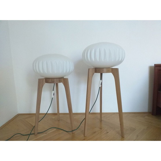 Image 1 of Paire de lampadaires vintage ULUV, 1970