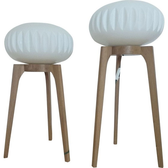 Image 1 of Paire de lampadaires vintage ULUV, 1970