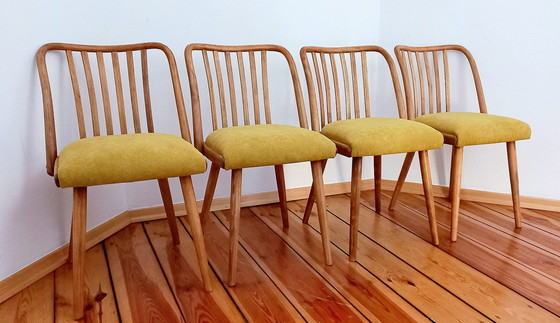 Image 1 of Chaises de salle à manger attribuées à A. Suman pour Tatra Nabytok, Tchécoslovaquie, années 1960, ensemble de 4