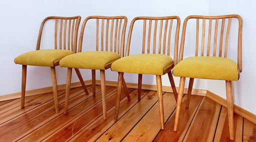 Chaises de salle à manger attribuées à A. Suman pour Tatra Nabytok, Tchécoslovaquie, années 1960, ensemble de 4