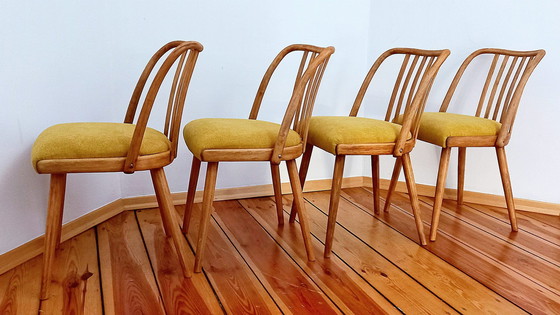 Image 1 of Chaises de salle à manger attribuées à A. Suman pour Tatra Nabytok, Tchécoslovaquie, années 1960, ensemble de 4