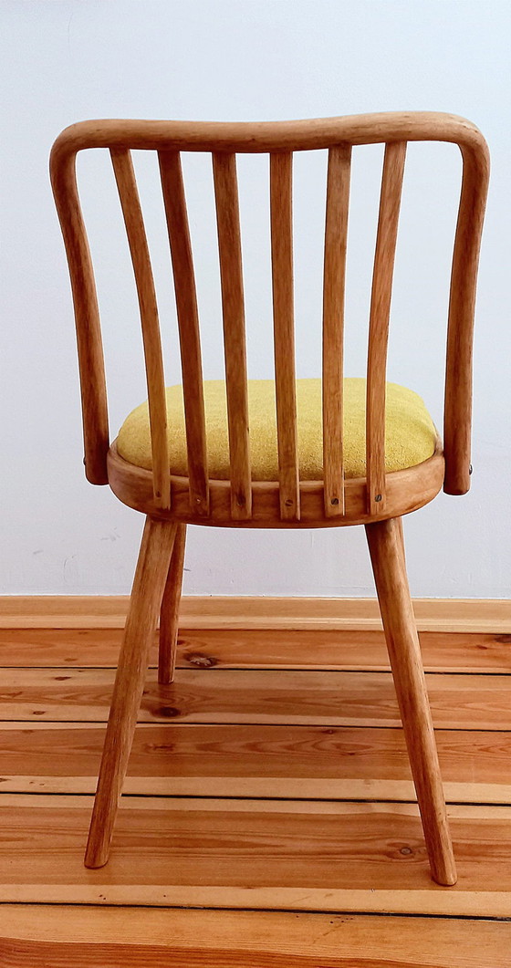 Image 1 of Chaises de salle à manger attribuées à A. Suman pour Tatra Nabytok, Tchécoslovaquie, années 1960, ensemble de 4