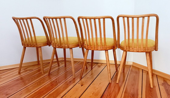 Image 1 of Chaises de salle à manger attribuées à A. Suman pour Tatra Nabytok, Tchécoslovaquie, années 1960, ensemble de 4