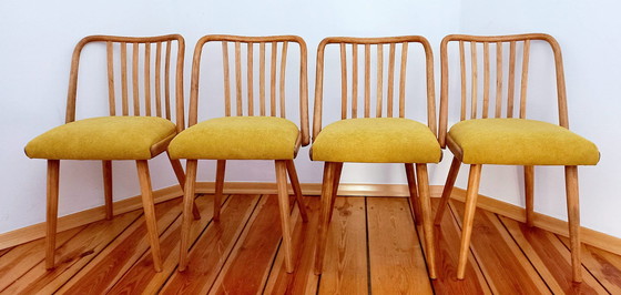 Image 1 of Chaises de salle à manger attribuées à A. Suman pour Tatra Nabytok, Tchécoslovaquie, années 1960, ensemble de 4