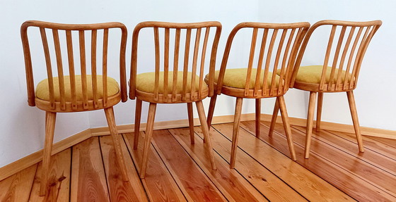 Image 1 of Chaises de salle à manger attribuées à A. Suman pour Tatra Nabytok, Tchécoslovaquie, années 1960, ensemble de 4