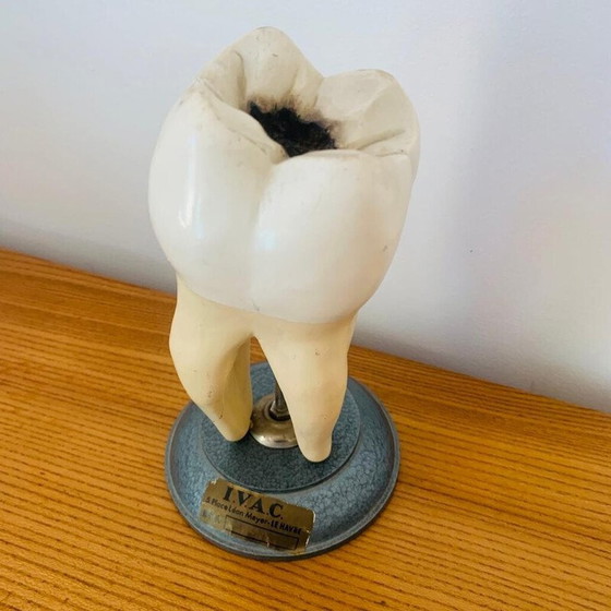 Image 1 of Peau vintage représentant une dent en bois