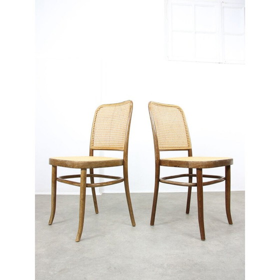 Image 1 of Ensemble de 4 chaises vintage No. 811 de Michael Thonet