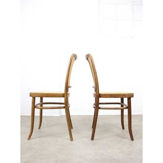 Image 1 of Ensemble de 4 chaises vintage No. 811 de Michael Thonet