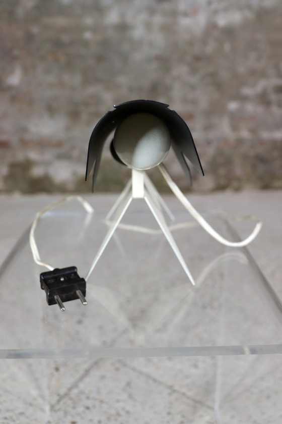 Image 1 of Jean-Boris Lacroix Dog Lamp Voor Disderot