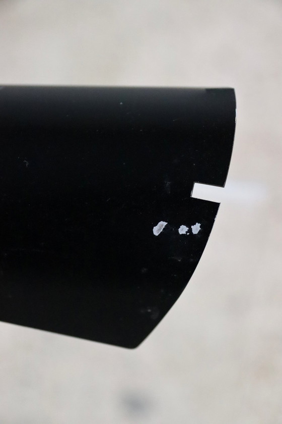 Image 1 of Jean-Boris Lacroix Dog Lamp Voor Disderot