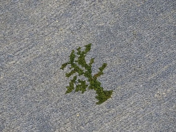 Image 1 of Tapis Rond • Gabbeh • 1990 • ∅ 195 Cm 