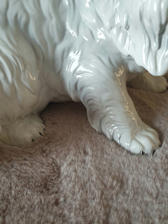 Image 1 of Ronzan Cat Xxl