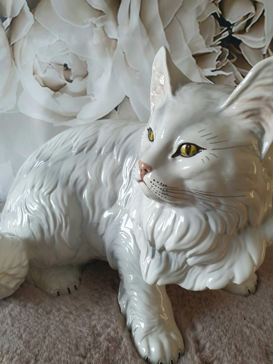 Image 1 of Ronzan Cat Xxl