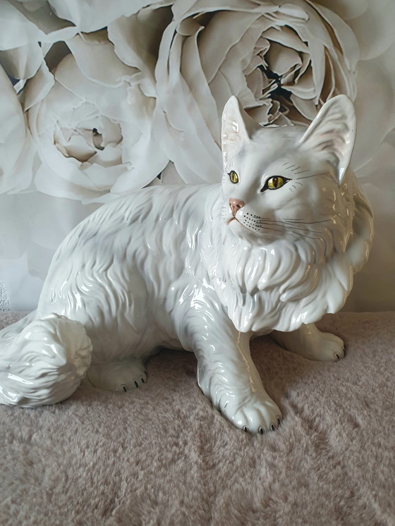 Image 1 of Ronzan Cat Xxl