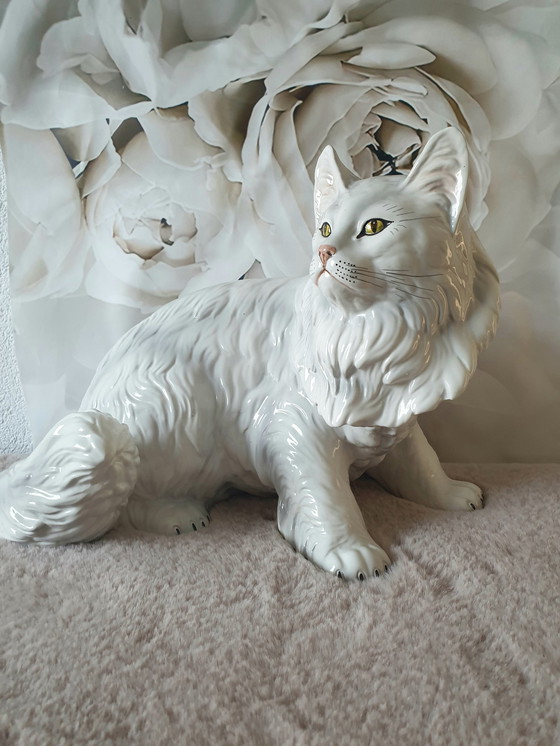 Image 1 of Ronzan Cat Xxl