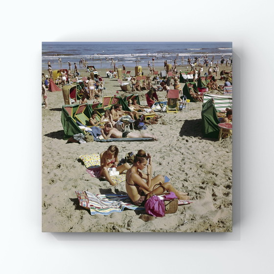 Image 1 of 1x Zandvoort On The Beach | Couleurs analogiques