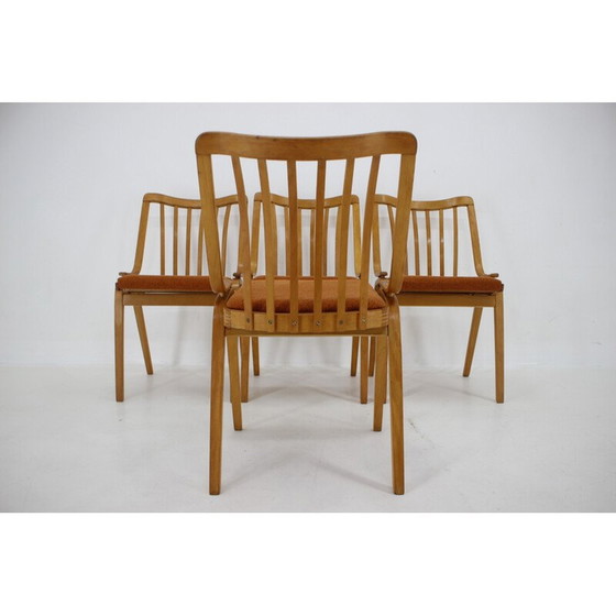 Image 1 of Ensemble de 4 chaises vintage par Antonin Suman par Ton, Tchécoslovaquie 1970