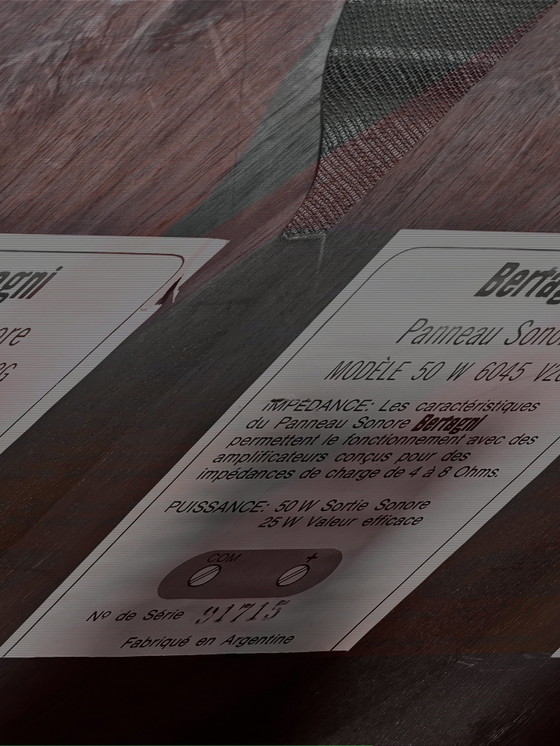 Image 1 of Paire De Panneau Sonore Vintage Bertagni, 1970