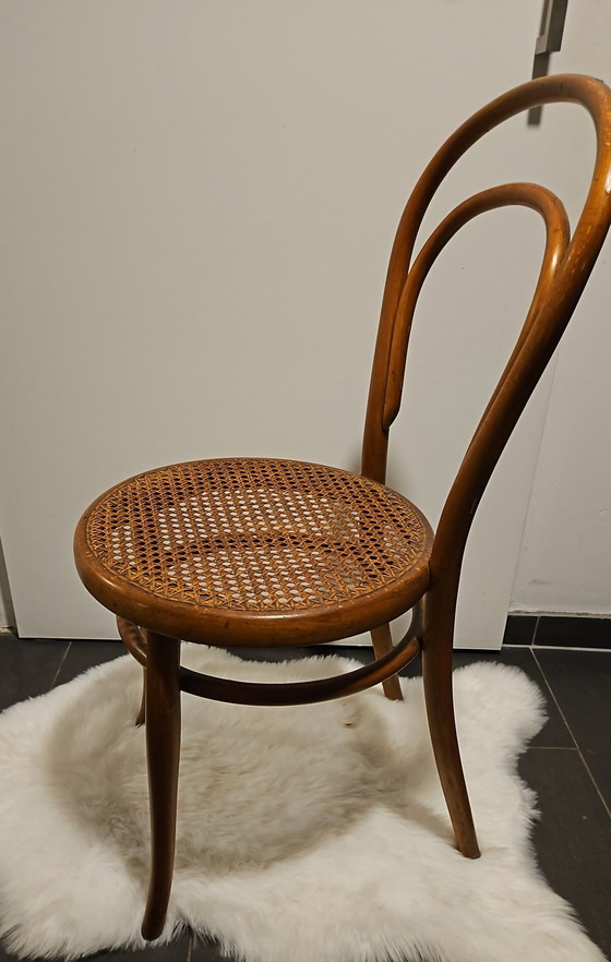 Image 1 of Chaise de bistrot originale Thonet n° 14 - avec cachet