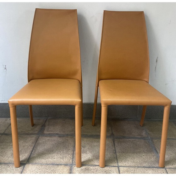 Image 1 of Paire de chaises Frag vintage de Poltona Frau