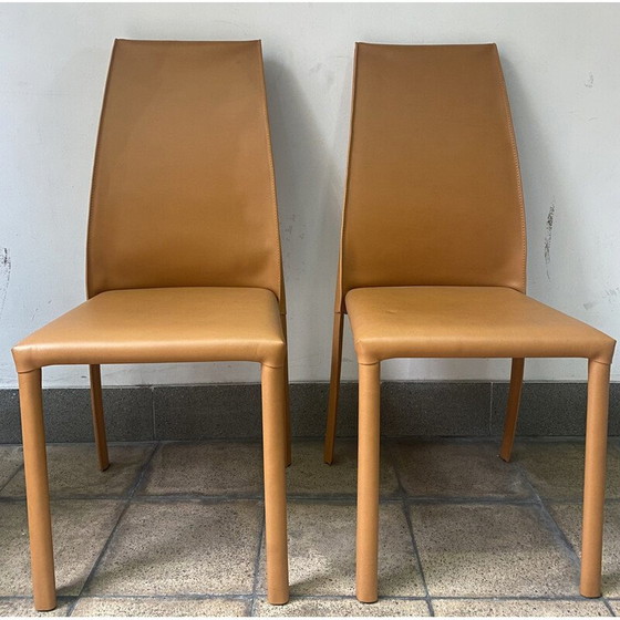 Image 1 of Paire de chaises Frag vintage de Poltona Frau