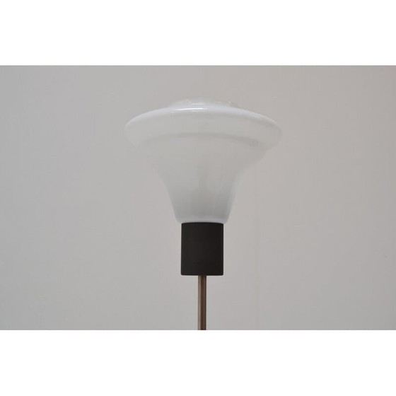 Image 1 of Lampadaire vintage en verre au lait par Kamenicky Senov, Tchécoslovaquie 1960