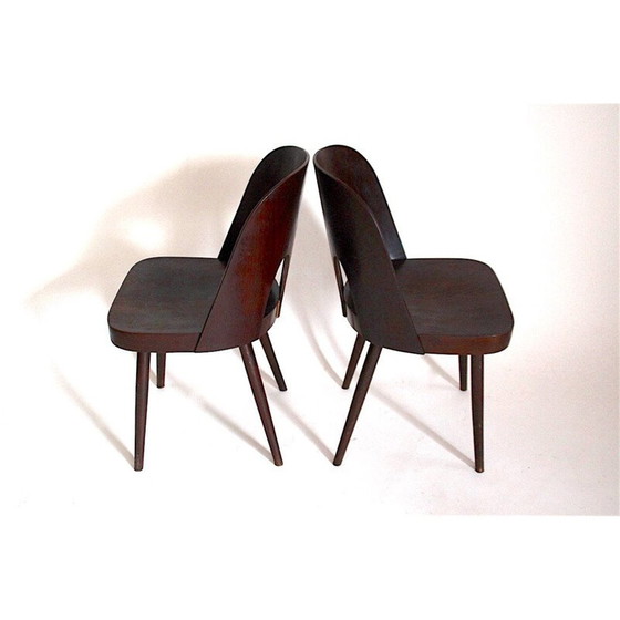 Image 1 of Paire de chaises en bois vintage par Oswald Haerdtl pour Ton Bystřice pod Hostýnem, Tchécoslovaquie 1955