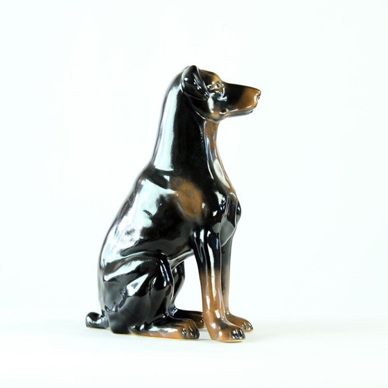 Image 1 of Statue vintage d'un vieux doberman en porcelaine de Jikohera, Tchécoslovaquie 1960