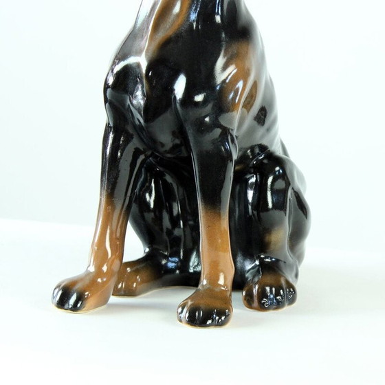 Image 1 of Statue vintage d'un vieux doberman en porcelaine de Jikohera, Tchécoslovaquie 1960