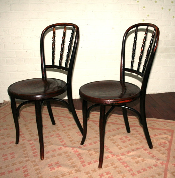 Image 1 of 2 Chaises Thonet N°85 restaurées
