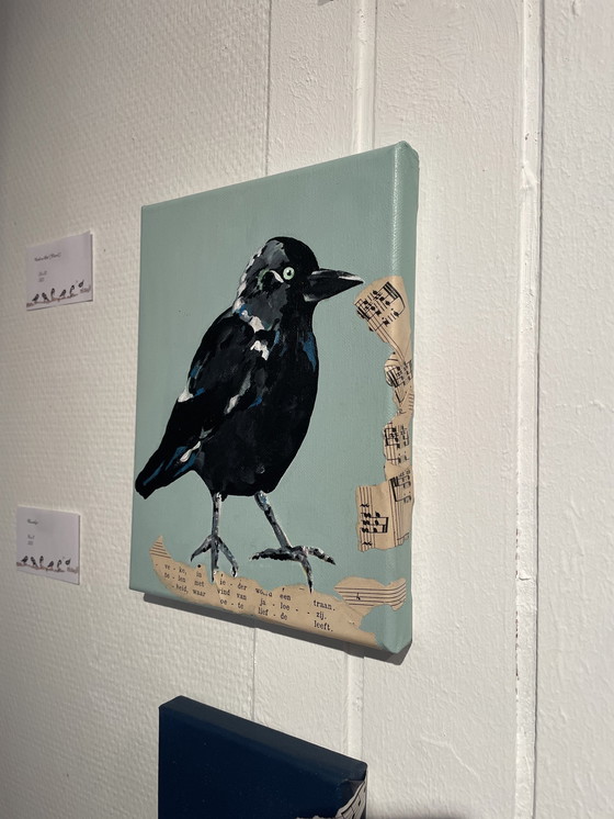 Image 1 of Portret van een Kauwtje