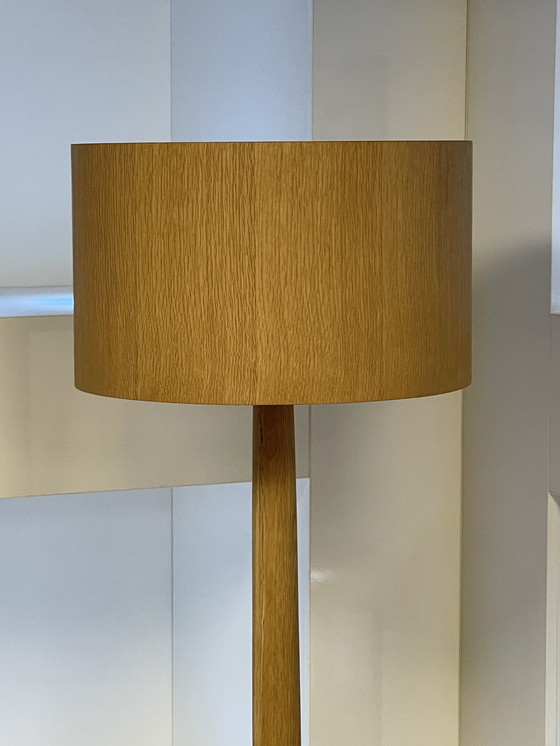 Image 1 of Lampe d'arbre Moooi